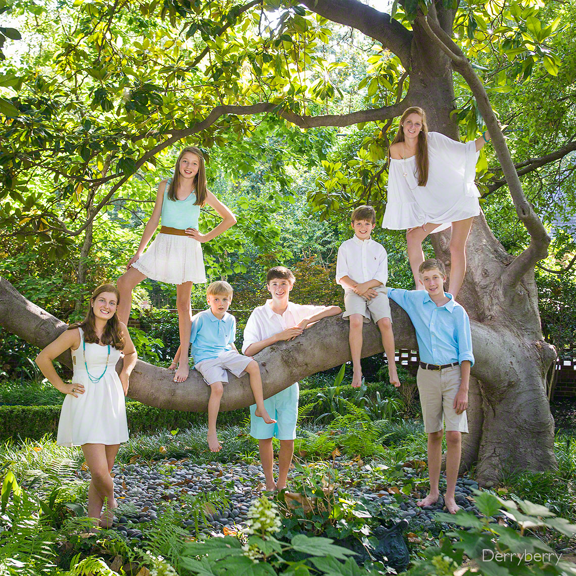 Charlton Sahm extended family portrait of the children in a tree in Preston Hollow