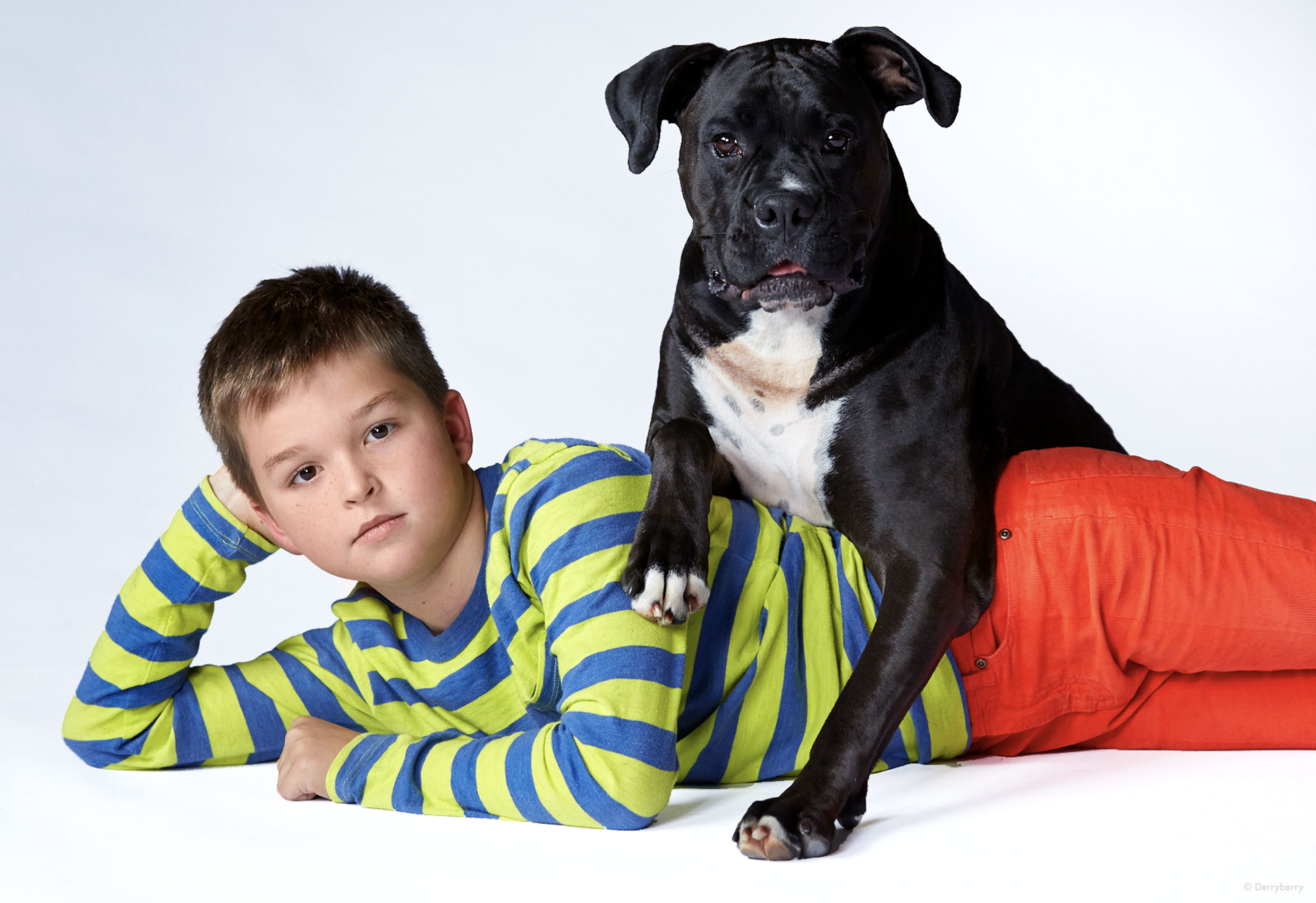 Color studio portrait of a boy in a striped shirt and his dog  laying of a white background  in Dallas, Texas by photographer John Derryberry Photography 