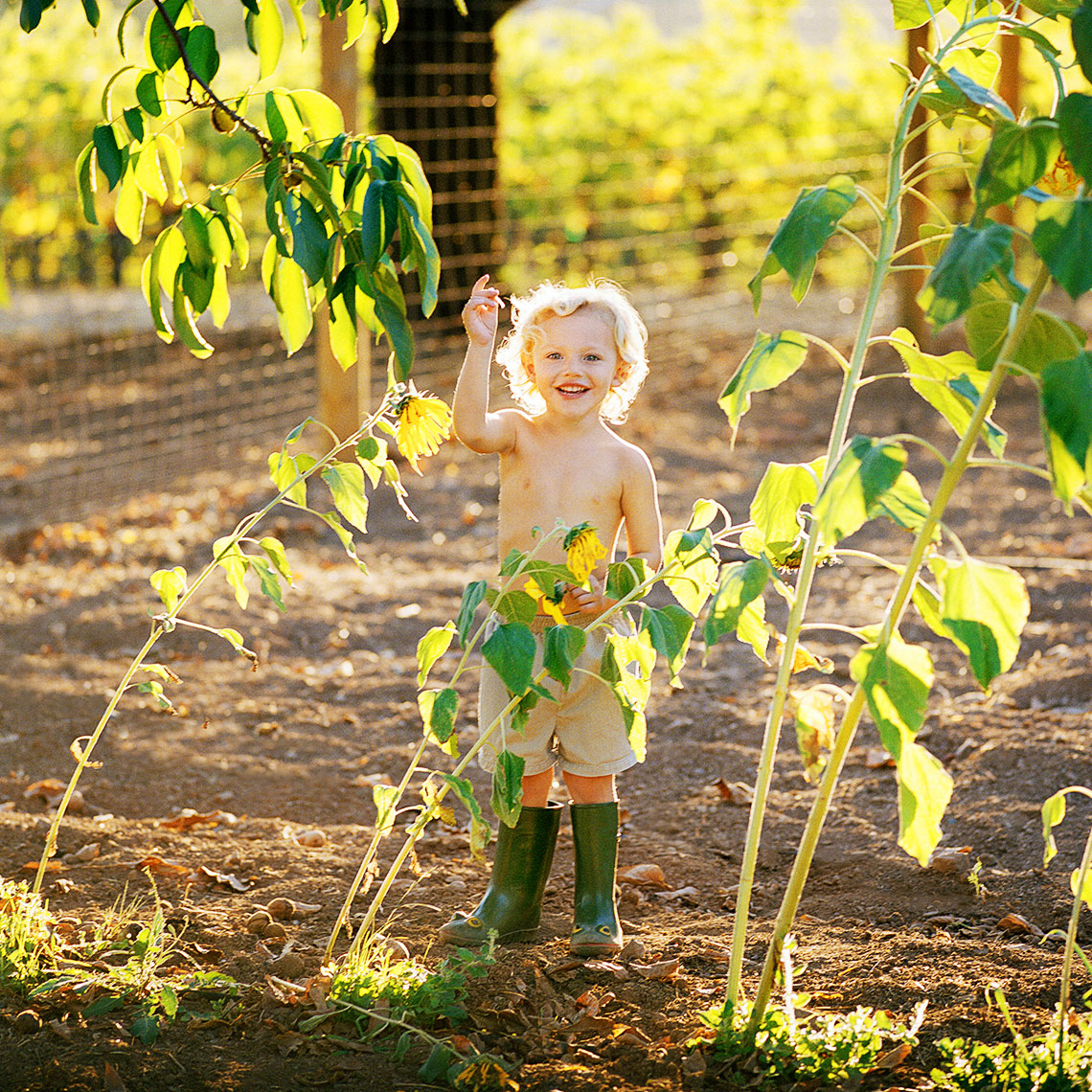 Children portrait of boy standing in frog run boots in a Sunflower garden next to a vineyard in Napa California by John Derryberry Photography