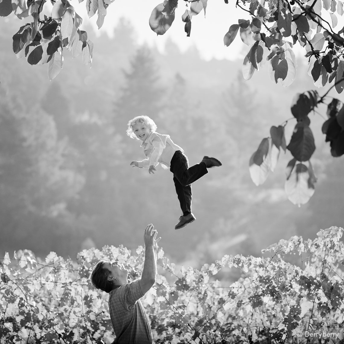 Black and white portrait of a laughing young boy being thrown high by his father in a Napa Valley vineyard